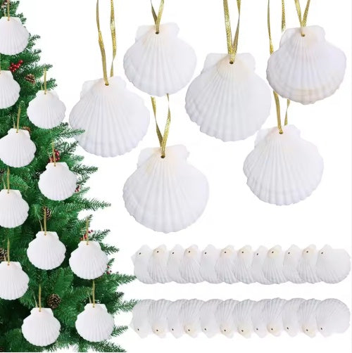 Seashells For Crafting Christmas Ornaments 24pcs