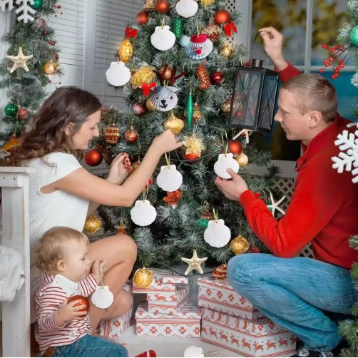 Seashells For Crafting Christmas Ornaments 24pcs