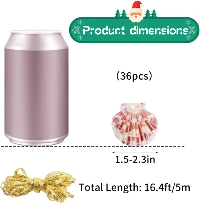 Seashells For Crafting Christmas Ornaments 24pcs